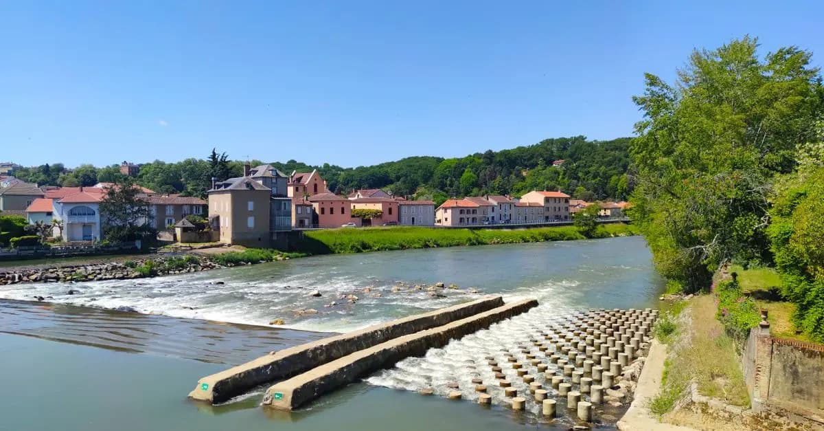 5 Stratégies pour Réussir Votre Projet de Nouvelle Vie