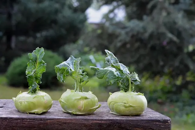 10 Projets de Nouvelle Vie Épanouissants à Réaliser
