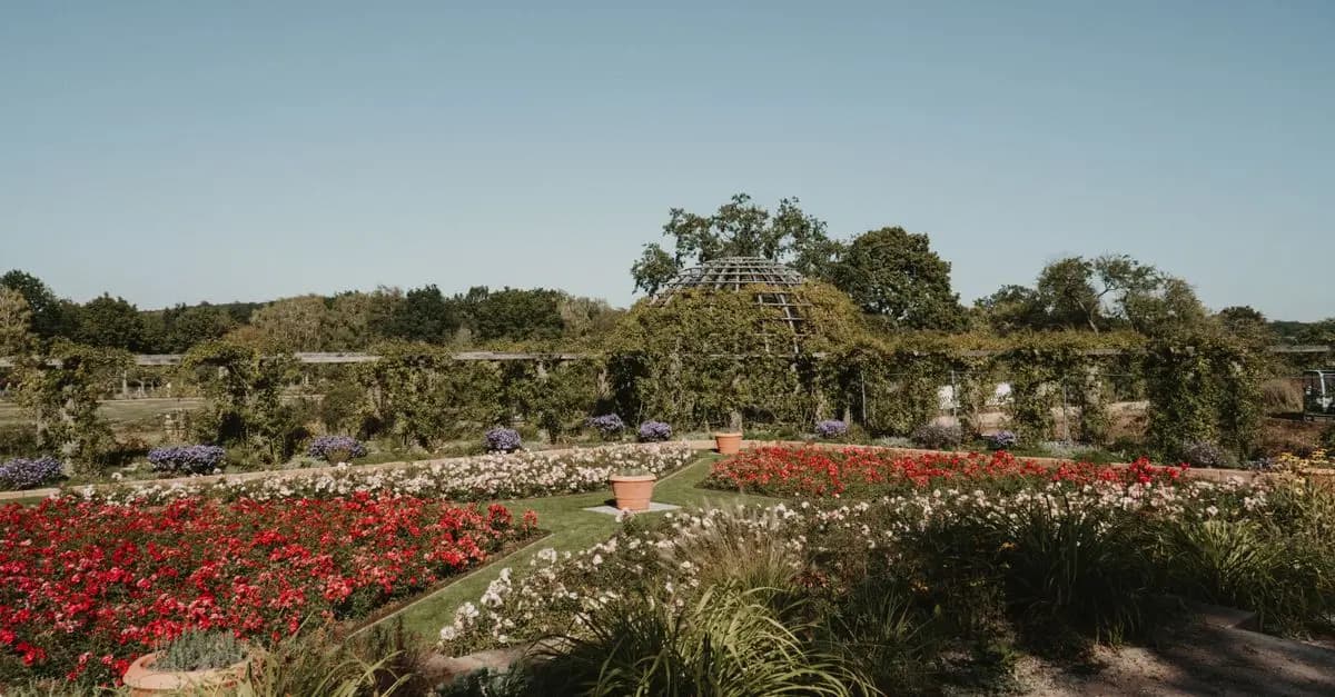 5 Projets de Nouvelle Vie à Lancer pour Évoluer et S'épanouir