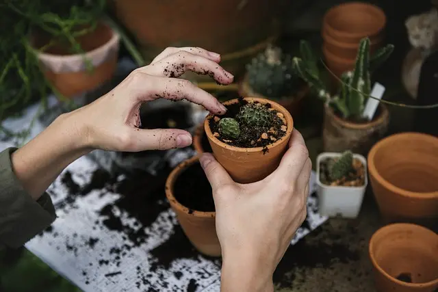 10 Idées de Projets de Nouvelle Vie Pour Évoluer et S'épanouir