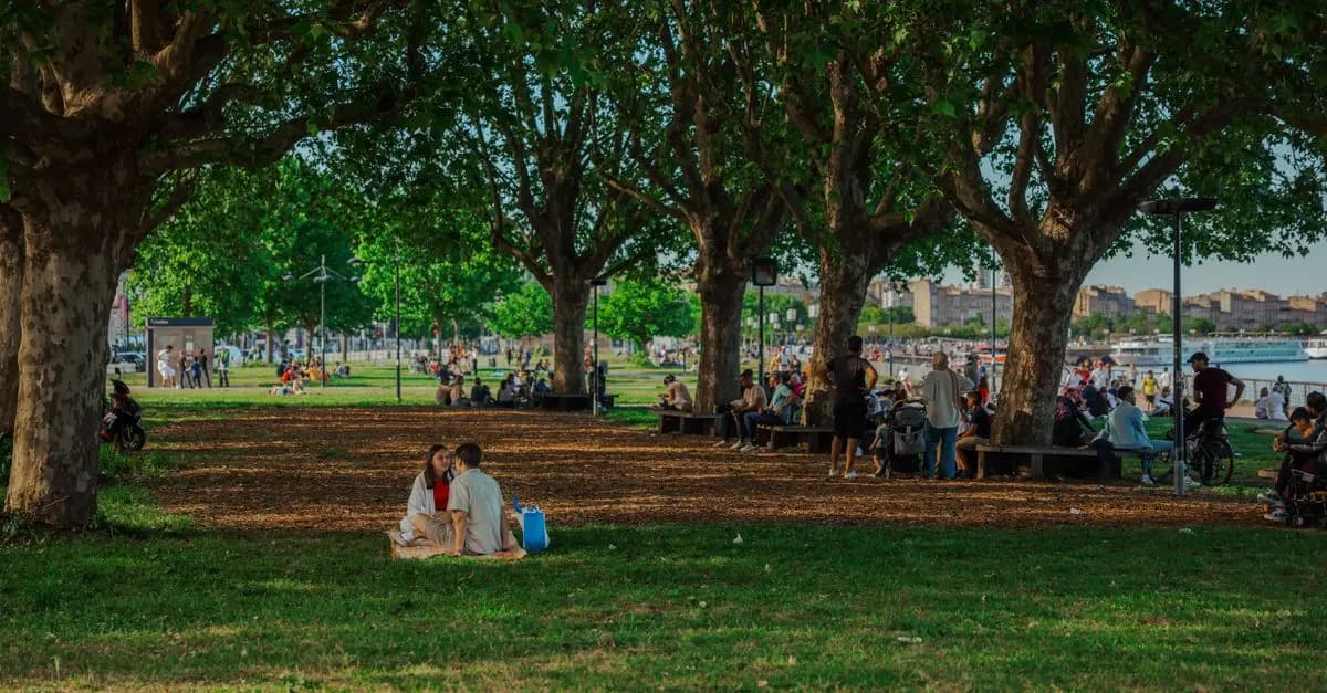 Vivre en Communauté : Une Teinte Moderne à la Vie
