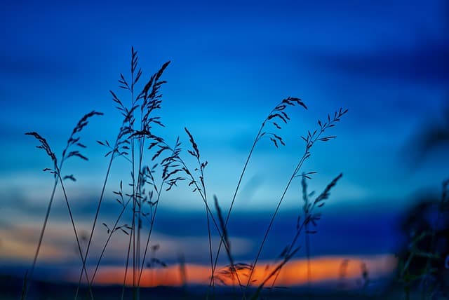 Comment Trouver l'Inspiration pour Votre Projet de Nouvelle Vie